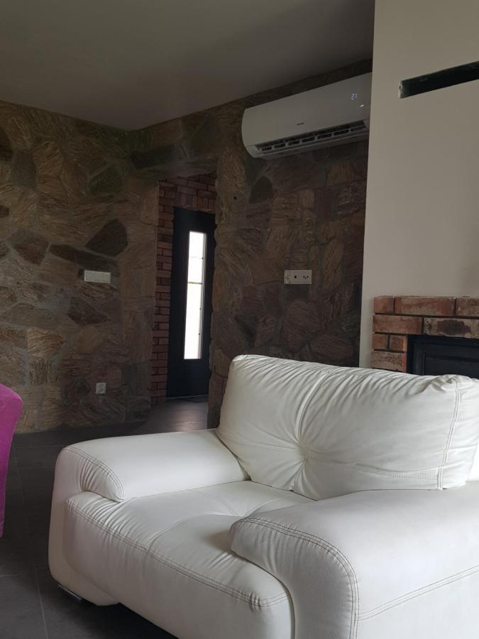 Villa Mlynska 8 Opole-Gorki Extérieur photo